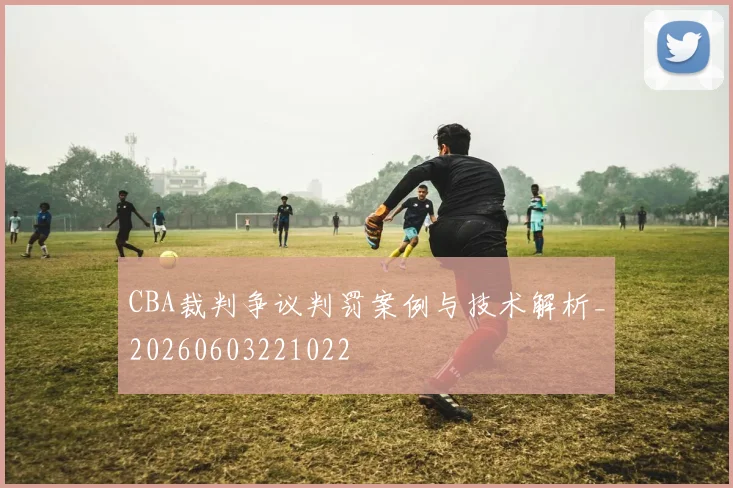 CBA裁判争议判罚案例与技术解析_20260603221022