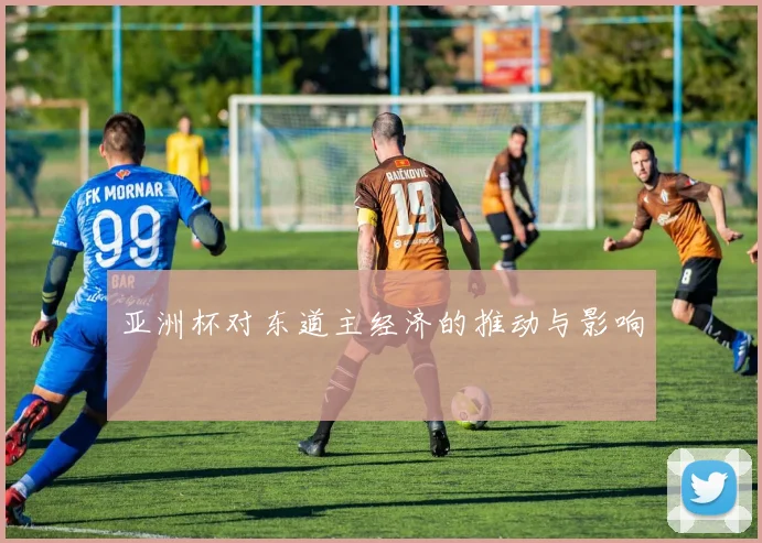 亚洲杯对东道主经济的推动与影响