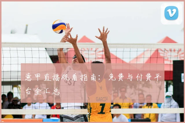 意甲直播观看指南：免费与付费平台全汇总